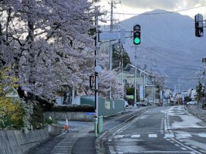 小学校から東を見る